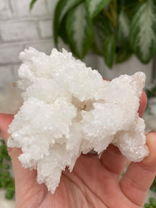 Contempo Crystals - White Aragonite Crystals - Image 10