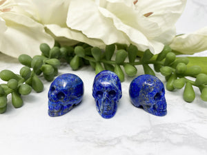 Contempo Crystals - Lapis Lazuli Mini Crystal Skull - Image 6