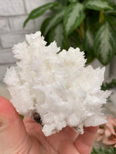 Load image into Gallery: Contempo Crystals - White Aragonite Crystals - Image 30