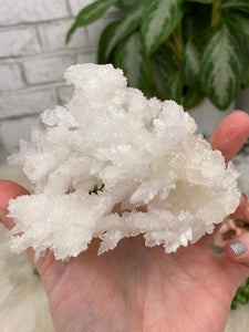 Contempo Crystals - White Aragonite Crystals - Image 9
