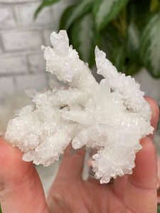 Contempo Crystals - White Aragonite Crystals - Image 24