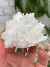 Load image into Gallery: Contempo Crystals - White Aragonite Crystals - Image 20