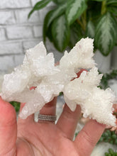 Load image into Gallery: Contempo Crystals - White Aragonite Crystals - Image 19