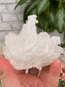 Contempo Crystals - White Aragonite Crystals - Image 15