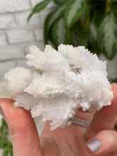 Load image into Gallery: Contempo Crystals - White Aragonite Crystals - Image 16