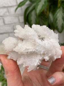 Contempo Crystals - White Aragonite Crystals - Image 14