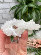 Load image into Gallery: Contempo Crystals - White Aragonite Crystals - Image 15
