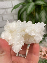 Load image into Gallery: Contempo Crystals - White Aragonite Crystals - Image 14