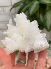 Load image into Gallery: Contempo Crystals - White Aragonite Crystals - Image 13