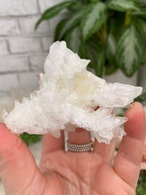 Load image into Gallery: Contempo Crystals - White Aragonite Crystals - Image 34