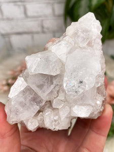 Contempo Crystals - Small Apophyllite Clusters - Image 4