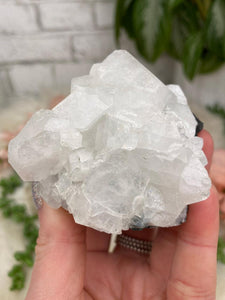 Contempo Crystals - small-white-apophyllite - Image 5