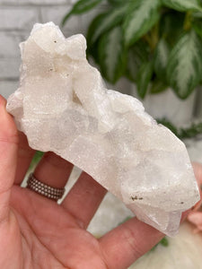 Contempo Crystals - Small Apophyllite Clusters - Image 48