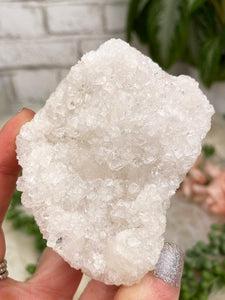 Contempo Crystals - Small Apophyllite Clusters - Image 47