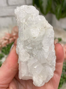 Contempo Crystals - Small Apophyllite Clusters - Image 44