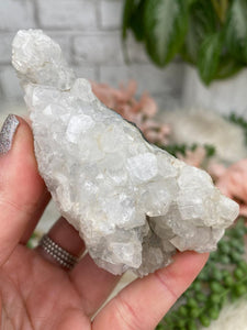 Contempo Crystals - Small Apophyllite Clusters - Image 42