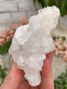 Contempo Crystals - Small Apophyllite Clusters - Image 39