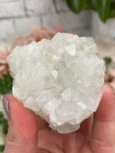Contempo Crystals - Small Apophyllite Clusters - Image 37