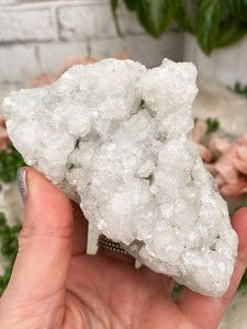 Contempo Crystals - Small Apophyllite Clusters - Image 36