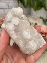 Load image into Gallery: Contempo Crystals - Small Apophyllite Clusters - Image 36