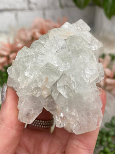 Contempo Crystals - Small Apophyllite Clusters - Image 23