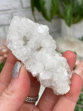 Load image into Gallery: Contempo Crystals - Small Apophyllite Clusters - Image 20