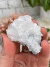 Load image into Gallery: Contempo Crystals - Small Apophyllite Clusters - Image 18