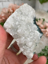 Load image into Gallery: Contempo Crystals - Small Apophyllite Clusters - Image 12
