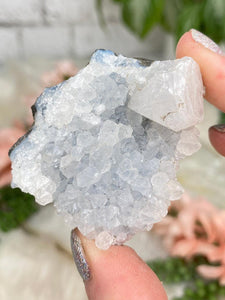 Contempo Crystals - Small Gray Chalcedony & Quartz - Image 19