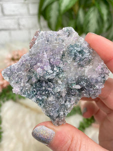 Contempo Crystals - small-amethyst-flower-clusters - Image 36