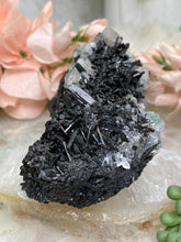 Load image into Gallery: Contempo Crystals - Schorl Tourmaline, Fluorite, & Beryl Specimen - Image 13