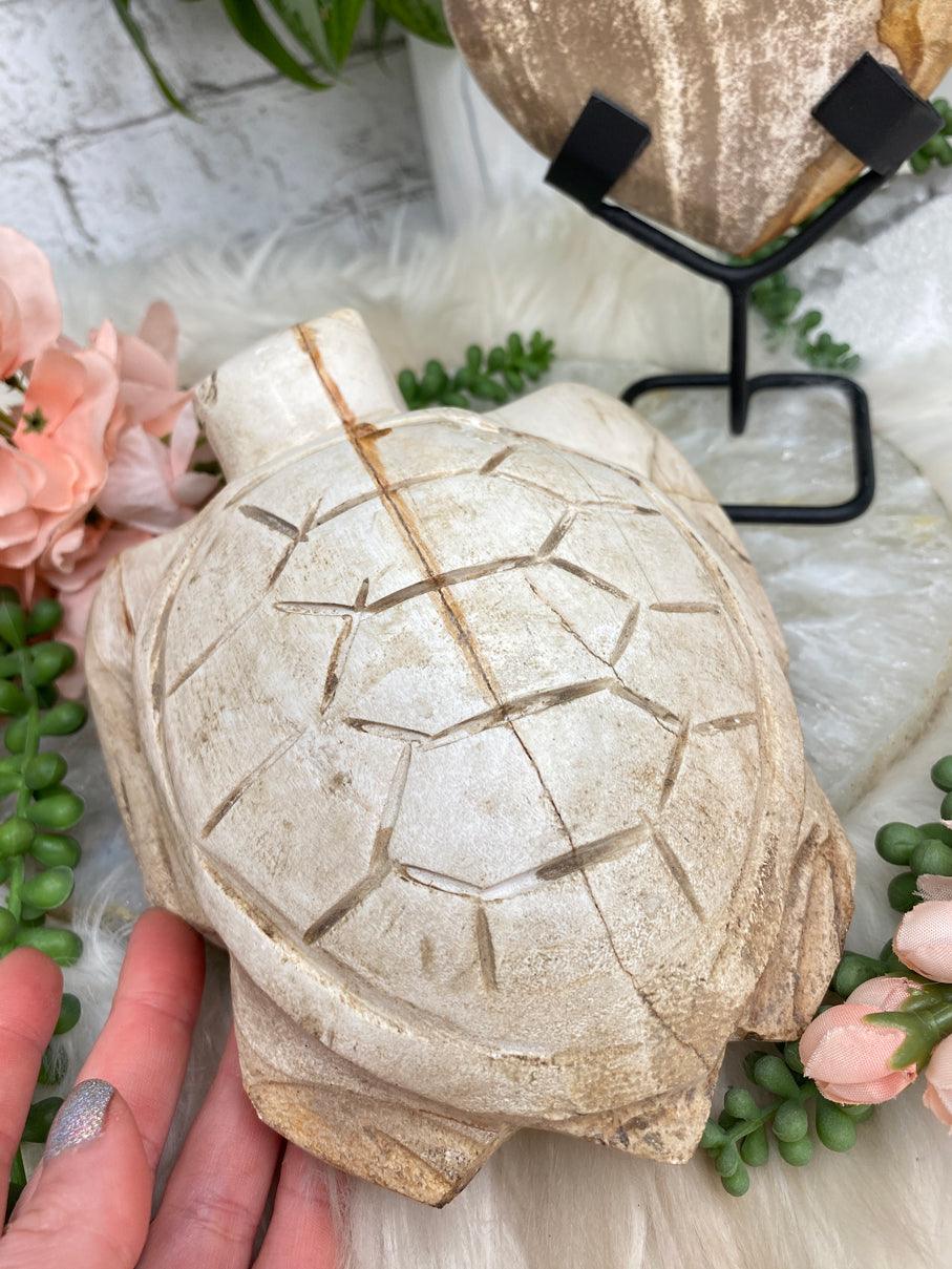 Petrified Wood Turtle & Heart