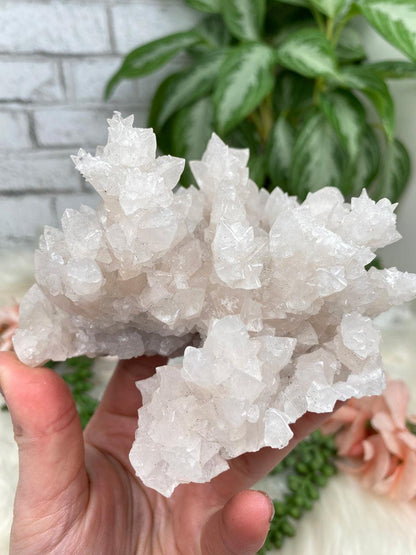 Mexico Aragonite Crystals