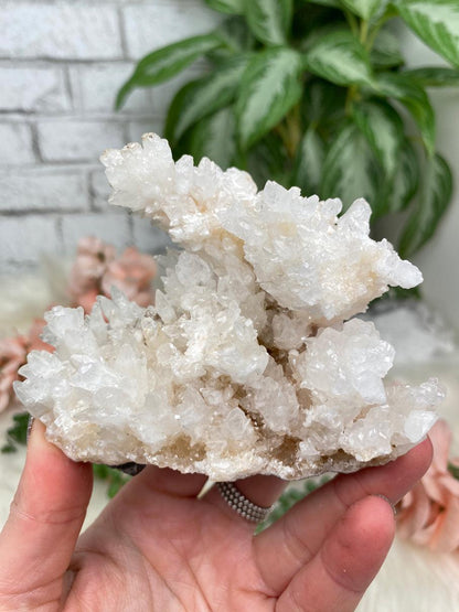 Mexico Aragonite Crystals