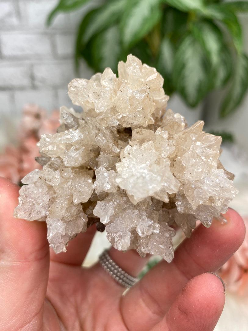 Mexico Aragonite Crystals