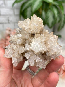 Contempo Crystals - Mexico Aragonite Crystals - Image 18