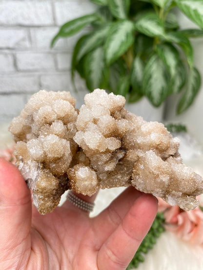 Mexico Aragonite Crystals