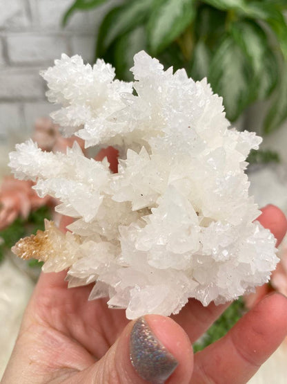 Mexico Aragonite Crystals