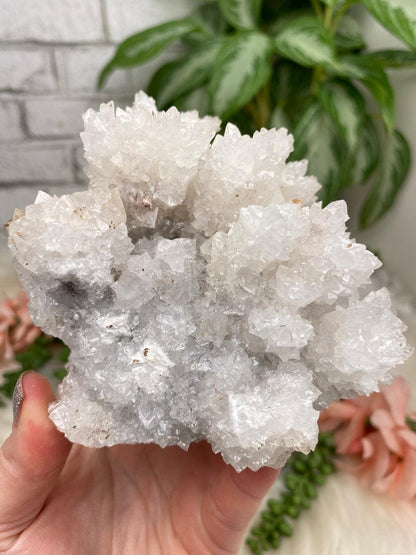 Mexico Aragonite Crystals