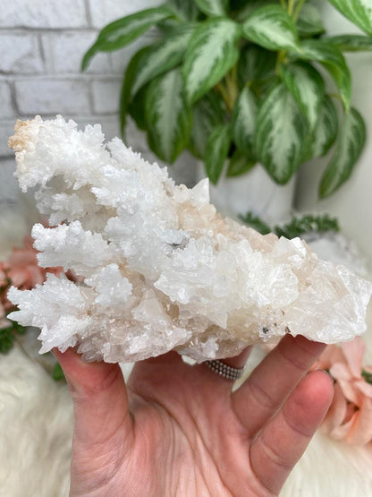 Mexico Aragonite Crystals