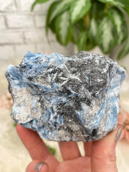 Blue & Black Kyanite