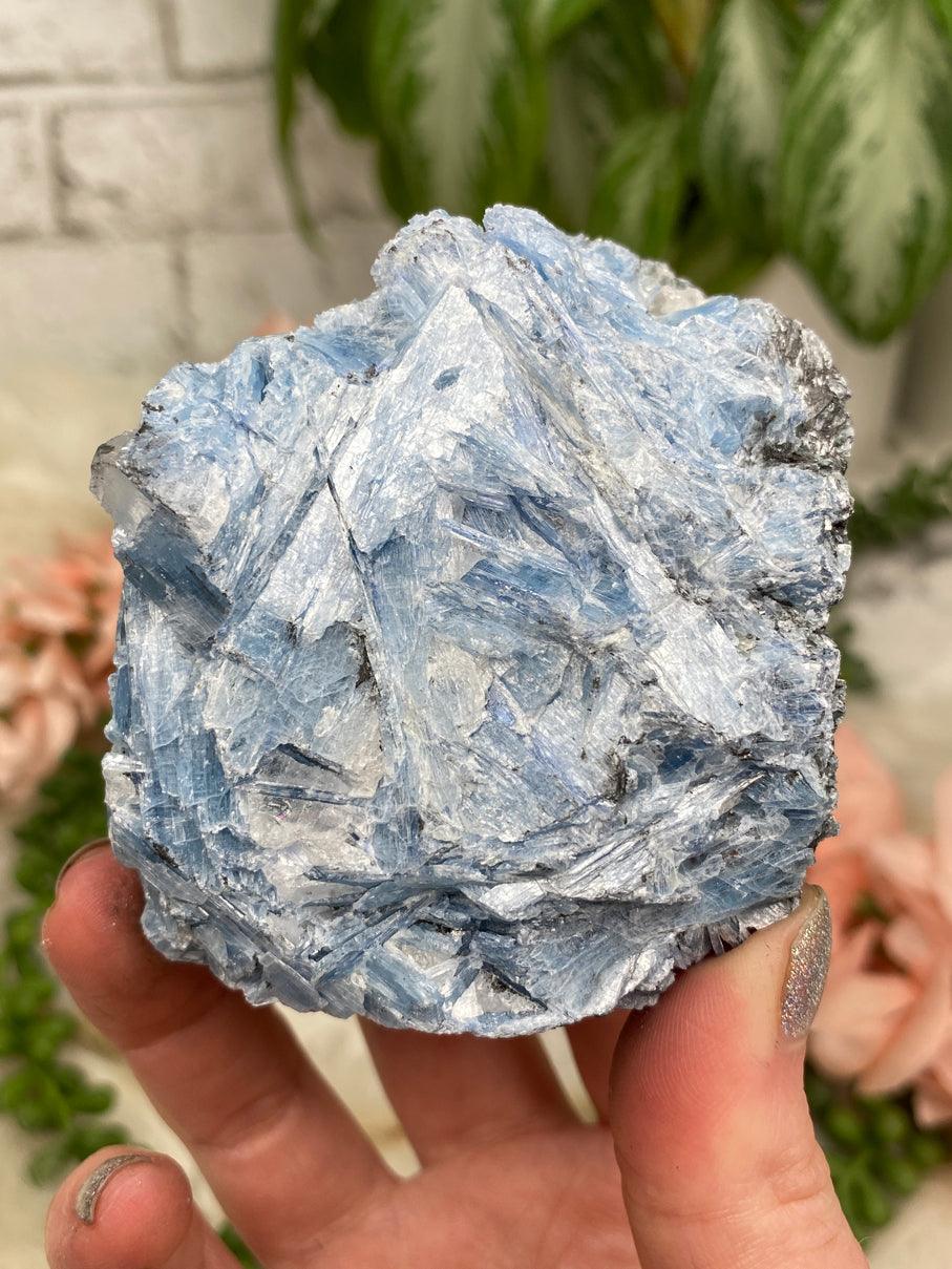 Blue & Black Kyanite