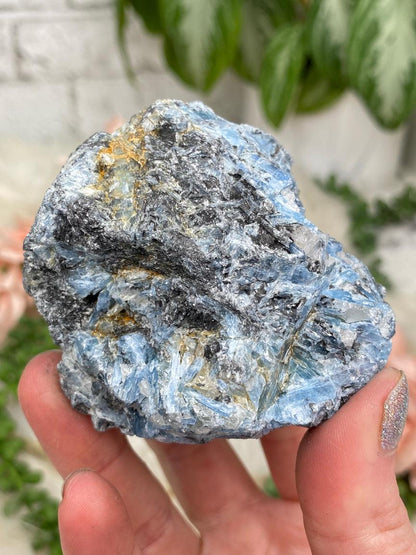 Blue & Black Kyanite