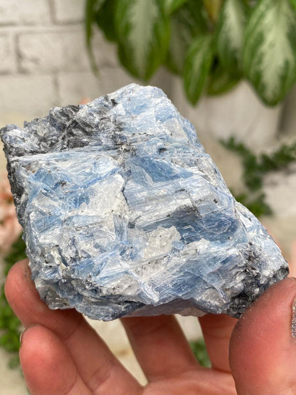 Blue & Black Kyanite