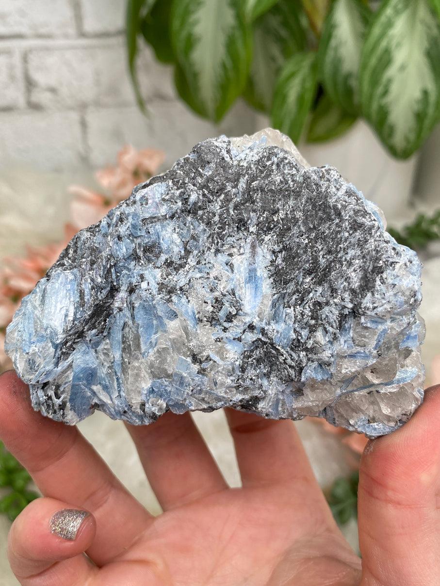 Blue & Black Kyanite