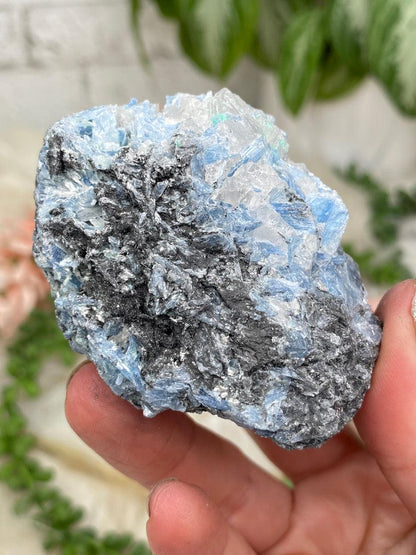 Blue & Black Kyanite