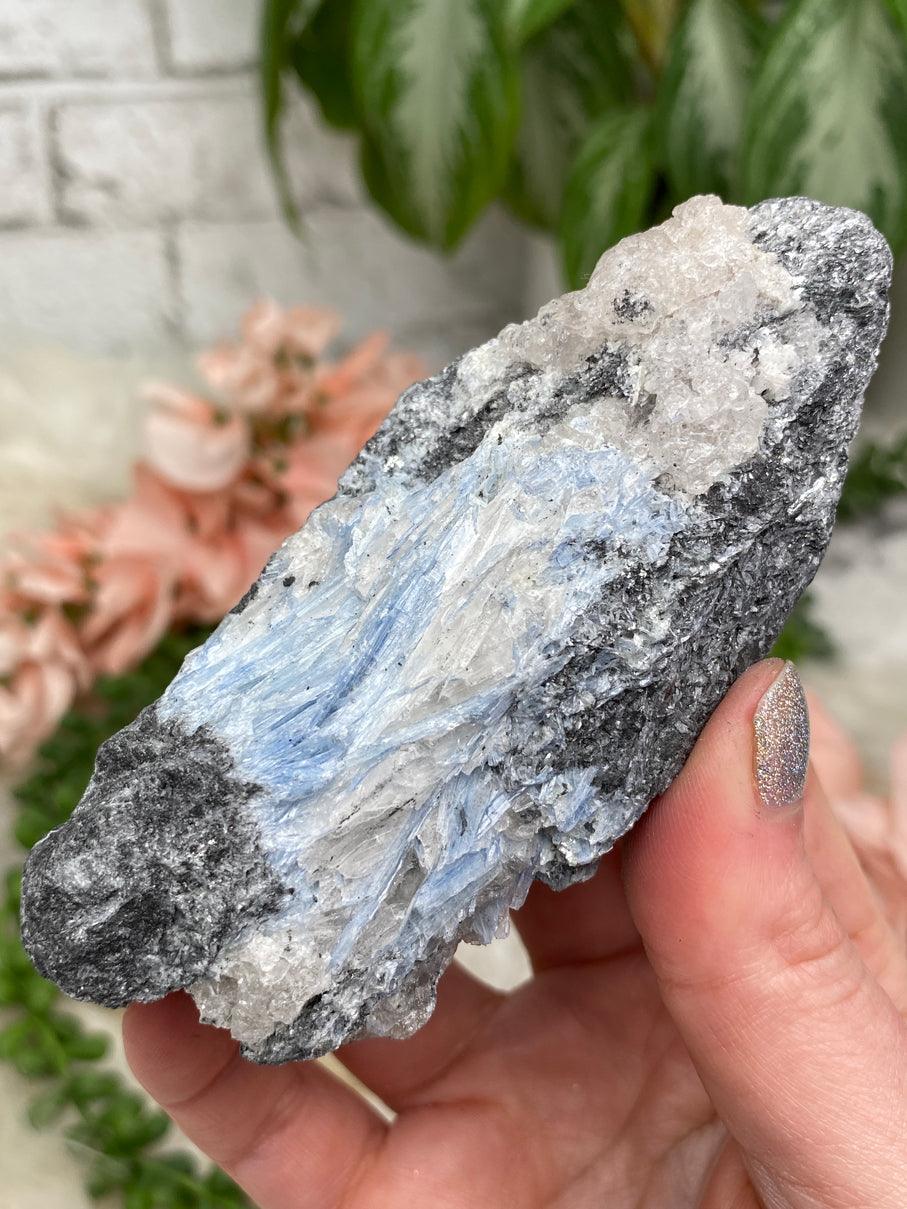 Blue & Black Kyanite