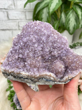 Load image into Gallery: Contempo Crystals - small purple amethyst clusters - Image 7