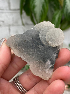 Contempo Crystals - Gray Chalcedony Crystals - Image 29