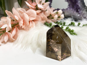 Contempo Crystals - Adorable dark smoky quartz crystal points - Image 5